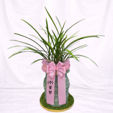 철골소심(투각분)