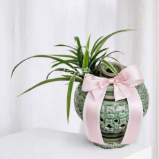 태양금(청투각)